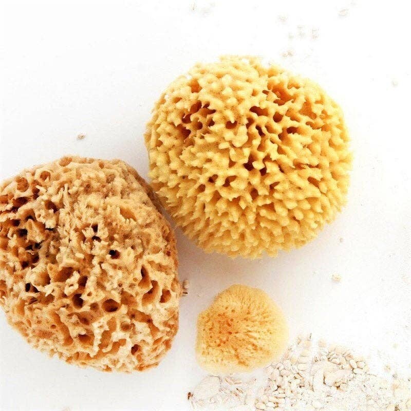 Natural Organic Sea Sponge