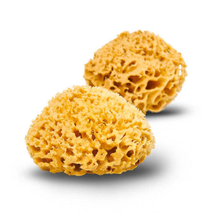 Natural Organic Sea Sponge