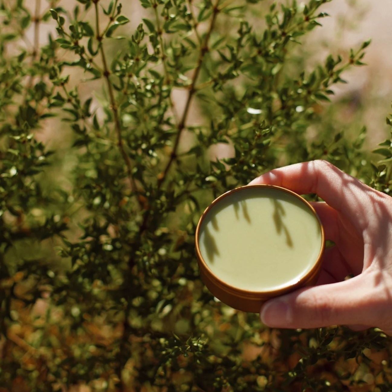 Desert Rain Balm