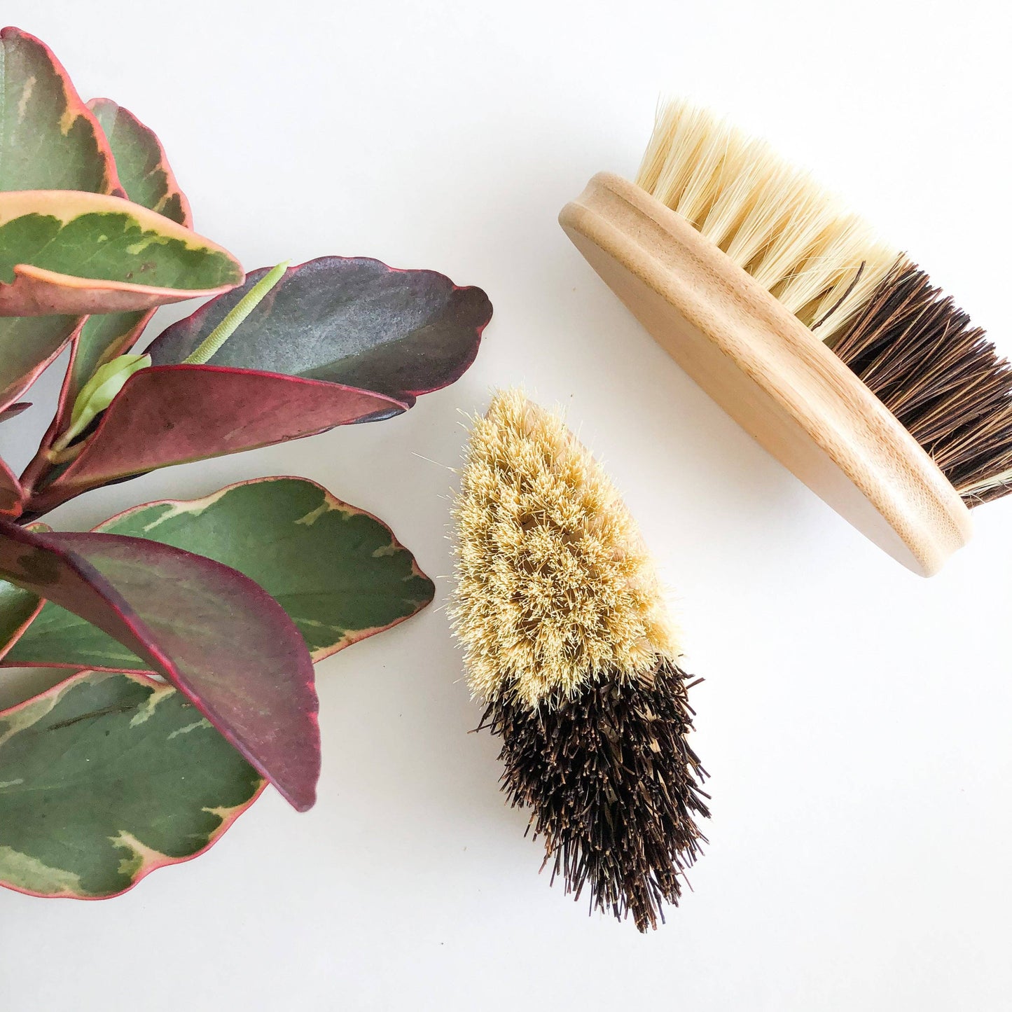 Bamboo Vegetable Brush | Sisal + Palm Bristles