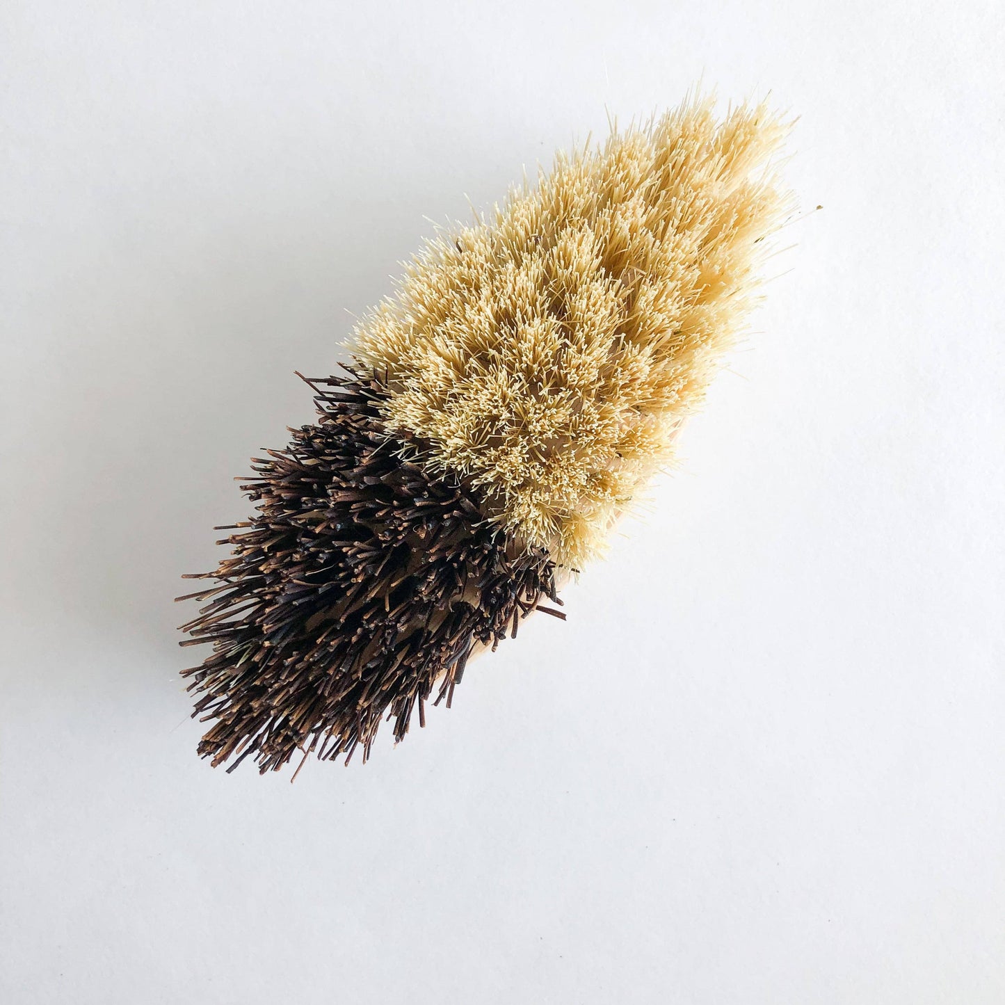 Bamboo Vegetable Brush | Sisal + Palm Bristles