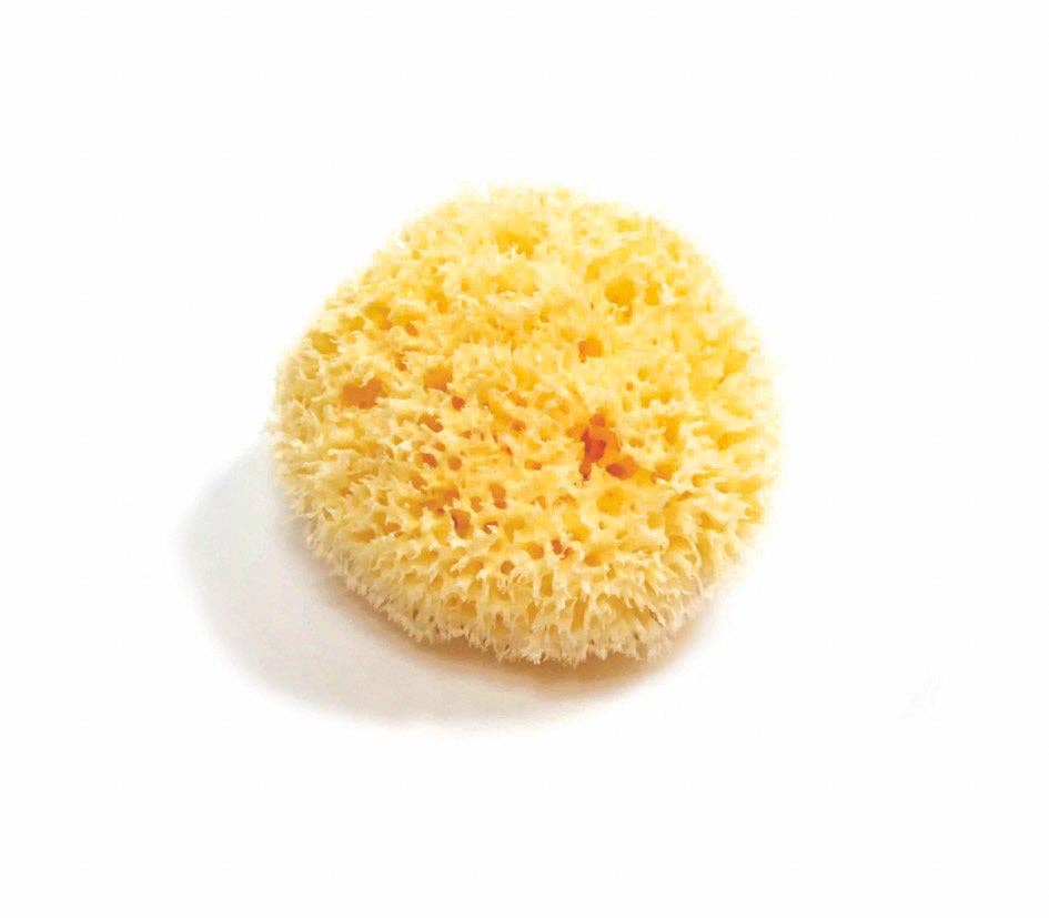 Natural Organic Sea Sponge