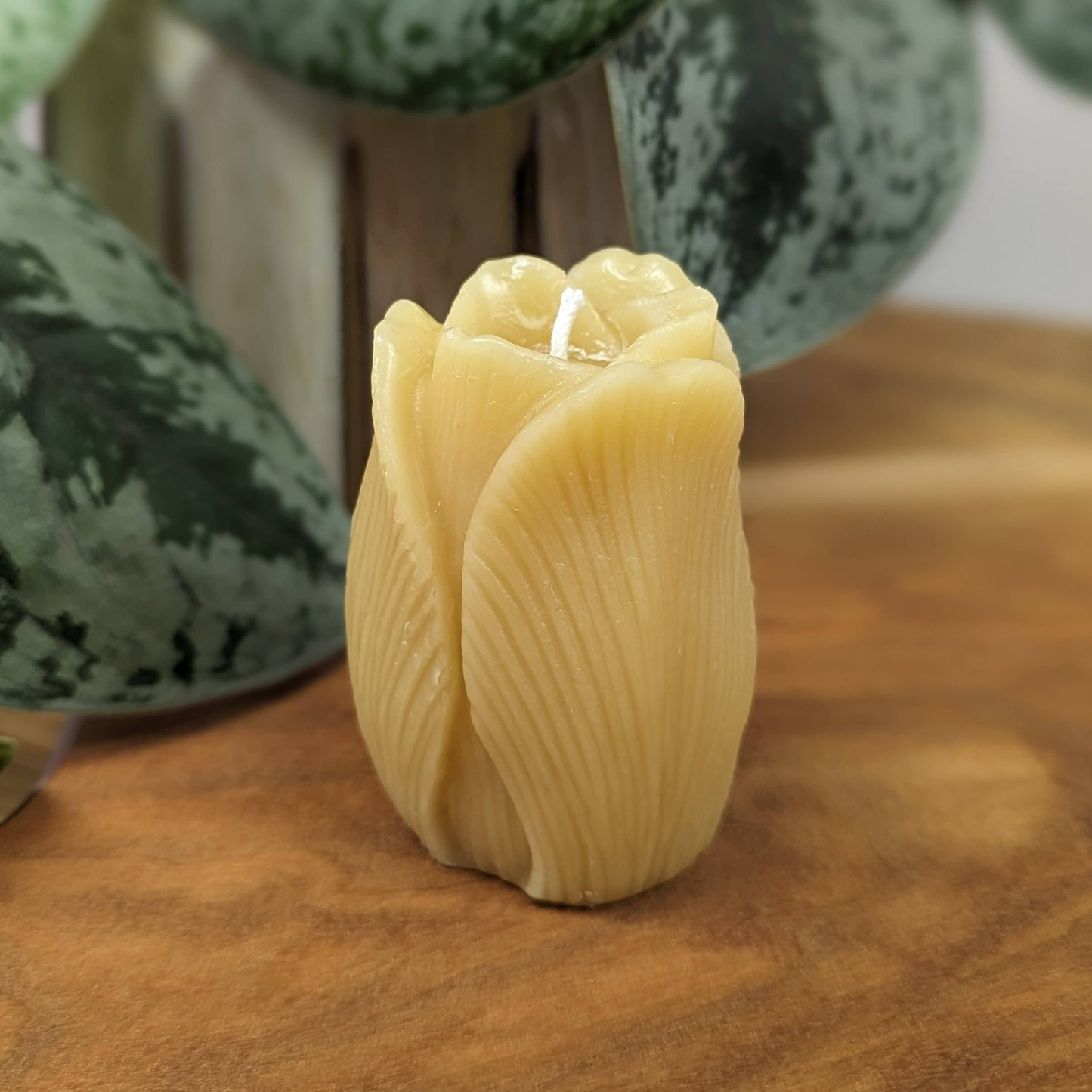 Tulip Beeswax Candle