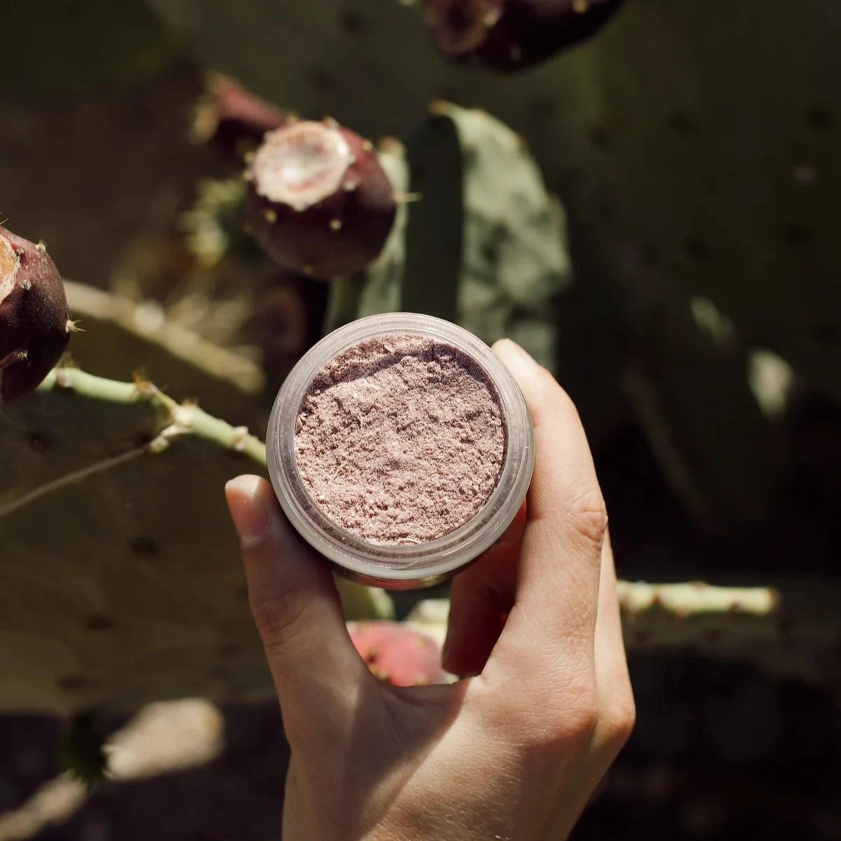 Prickly Pearl Face Mask