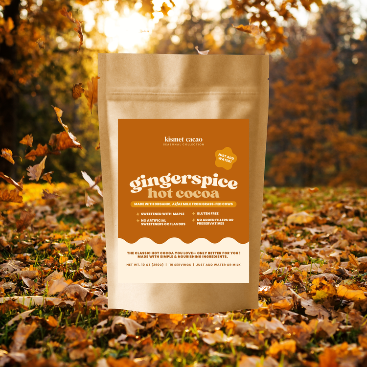 Gingerspice Hot Cocoa