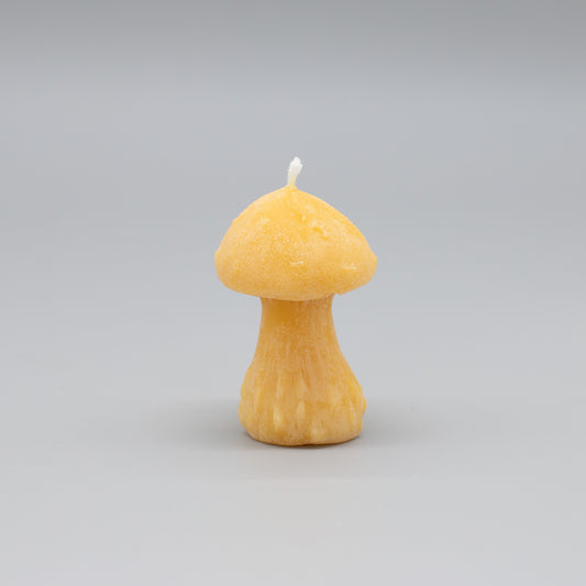 Mushroom Beeswax Candle