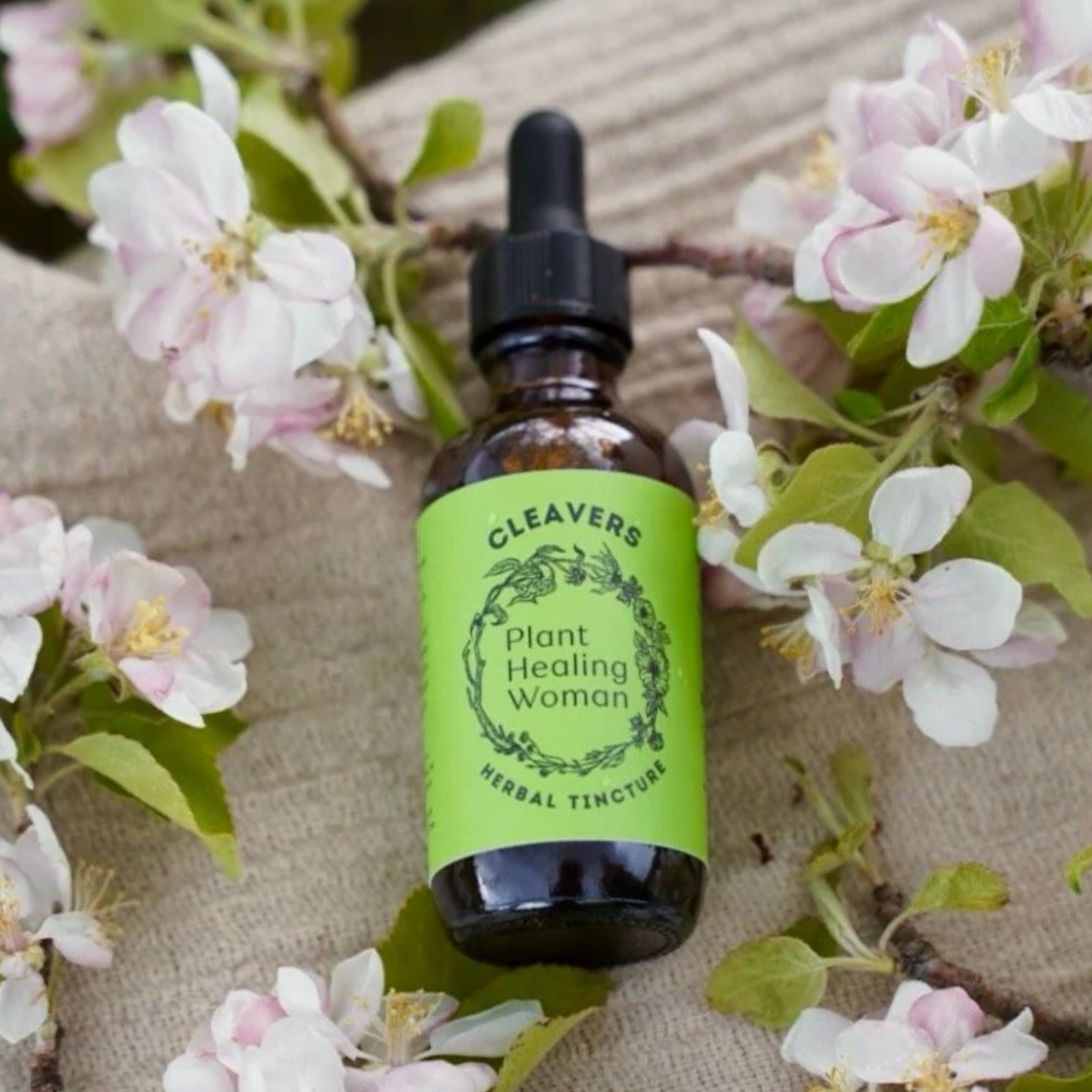 Cleavers Tincture | Lymph Aid