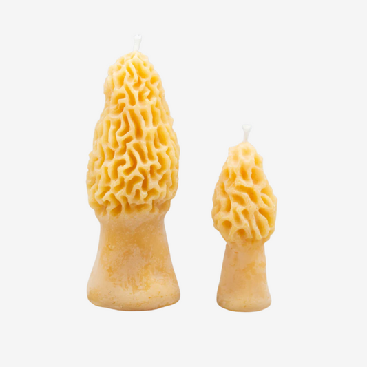 Morel Beeswax Candle