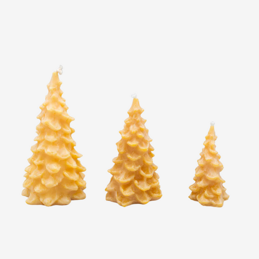 Beeswax Tree Candle