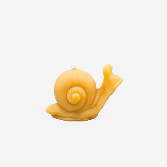 Snail Beeswax Candle