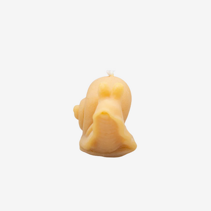 Snail Beeswax Candle