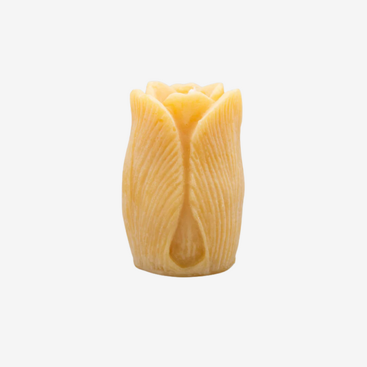 Tulip Beeswax Candle