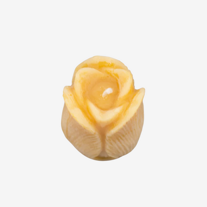 Tulip Beeswax Candle