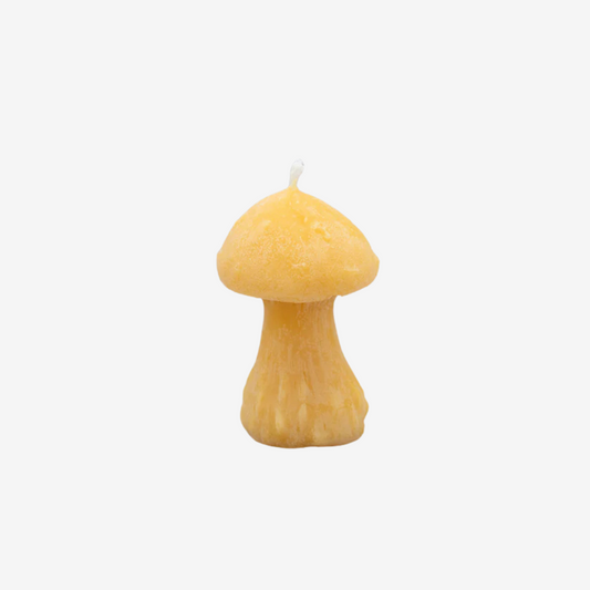 Mushroom Beeswax Candle