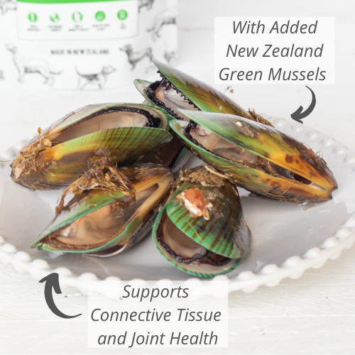 Woof NZ Green Mussel Treat