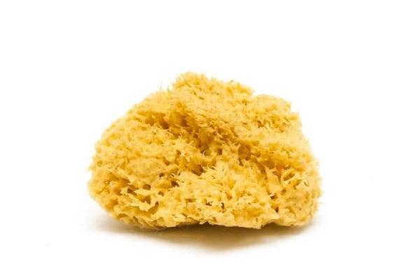 Natural Organic Sea Sponge