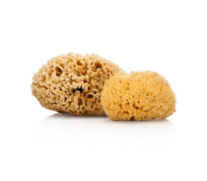 Natural Organic Sea Sponge