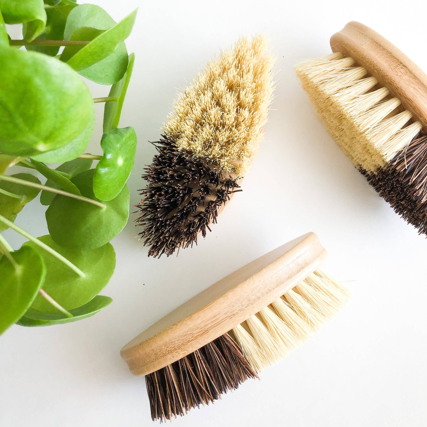 Bamboo Vegetable Brush | Sisal + Palm Bristles