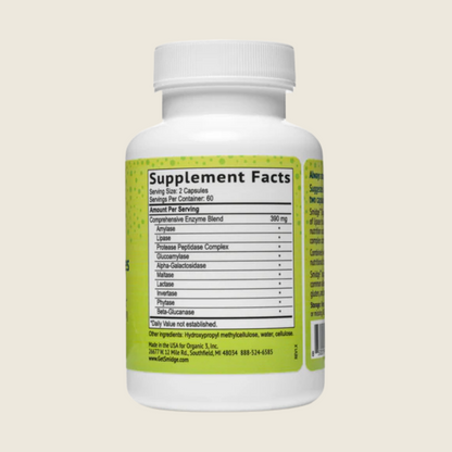 Digestive Enzymes